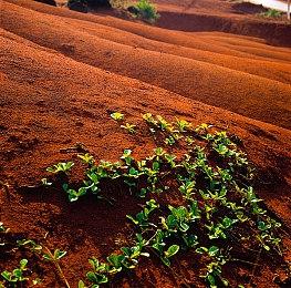 Insomniac已在开发第三款未公布3A游戏