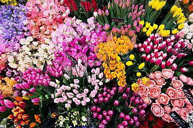 首季最终作《黑相集：心中魔》科隆展发布全新预告